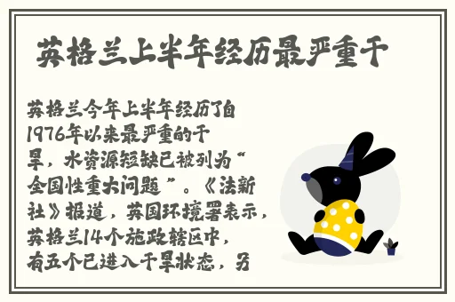 内衣办公室动漫全集